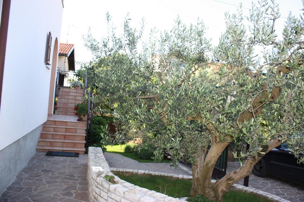 Apartments Mirela Novigrad Istria Extérieur photo