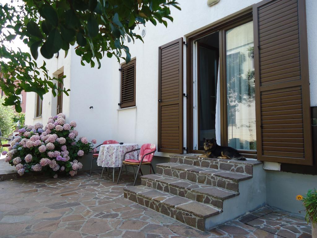 Apartments Mirela Novigrad Istria Extérieur photo