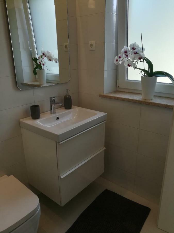 Apartments Mirela Novigrad Istria Extérieur photo